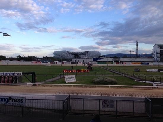 Estadio Shelbourne Park Greyhound